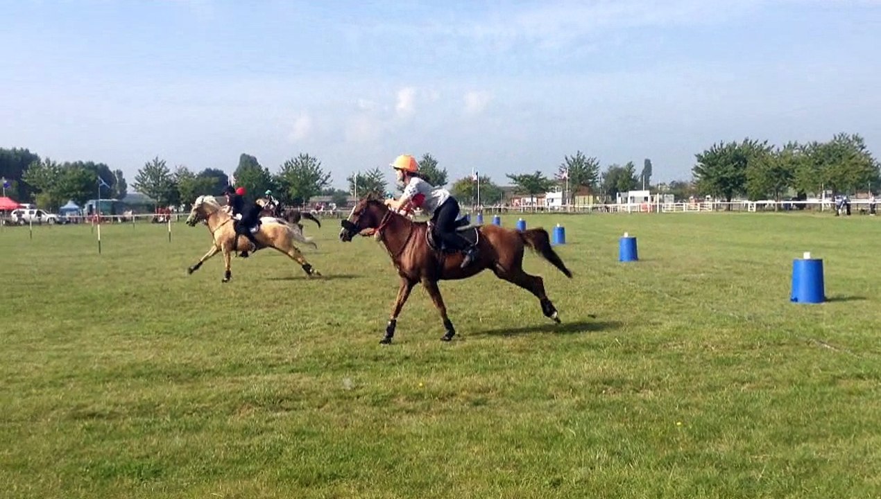 world pairs2014 colin verdelhan