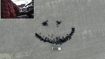 Un grupo de vacas hacen el emoticon más grande de la historia