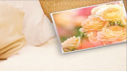 Shaan Shahid HD Wallpapers