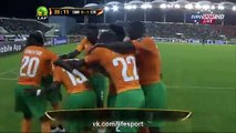 Cameroon 0 - 1 Ivory Coast (All Goals and Highlights) Africa Cup of Nations - 28.01.2015