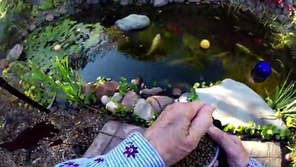 Abuela de 91 años maneja un dron