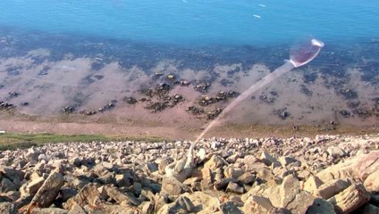 Dünyanın en kuzeyinde, ağ ile deniz kuşu avı