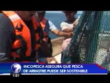 INCOPESCA afirma que pesca de arrastre sí puede hacerse de forma sostenible