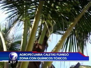 Tribunal Ambiental ordenó tomar acciones para evitar daños en humedal Caletas