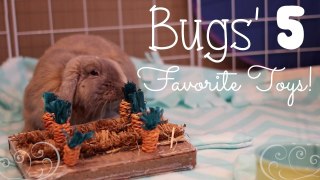 Bugs' 5 favorite toys!