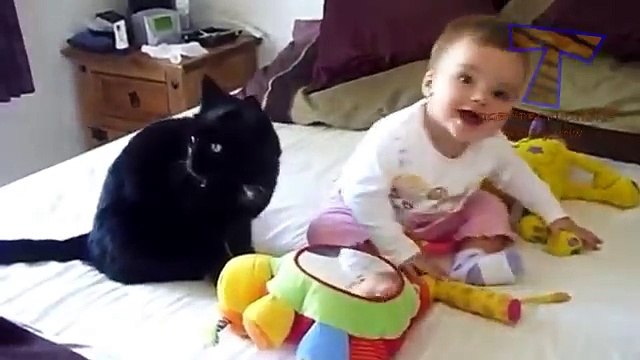 -Funny cats and babies playing together - Cute cat -u0026 baby compilation