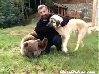 Kangal İle Ayının Dostluğu