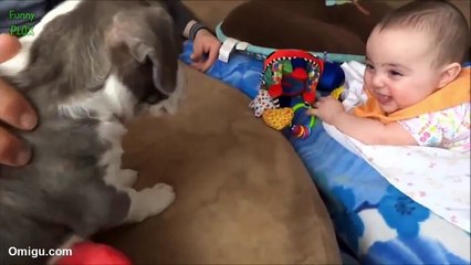 Puppies and Babies Playing Together Compilation 2015