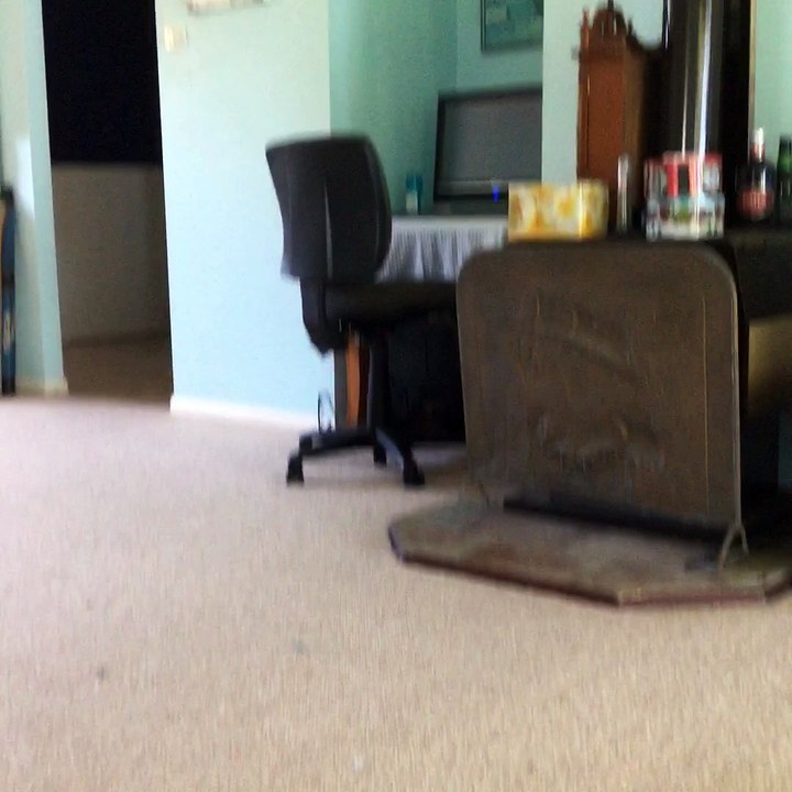 testing testing .. Daily Motion 'Camera' app from iTunes ..