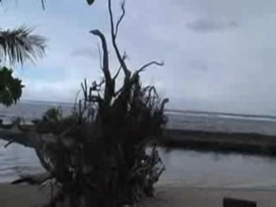 Polynesie Motu à Moorea