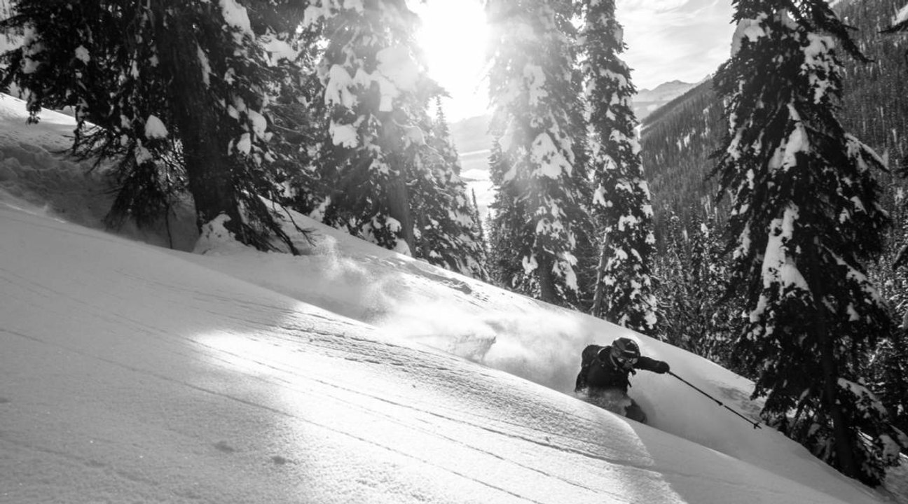 Enak Gavaggio : comme dans un rêve