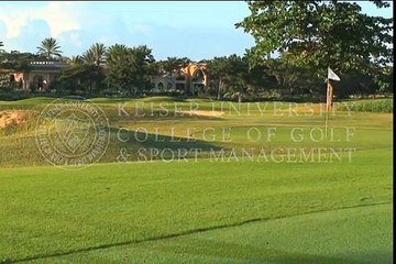 Practicing Pitch Shots at Home