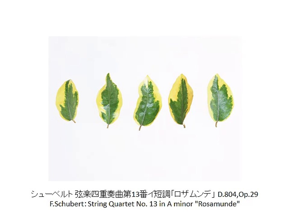 人気名曲弦楽四重奏曲集2・Popularity, Famous, Strings Quartet Collection 2（長時間作業用クラシックBGM・CLASSIC）