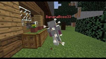 Weird Minecraft Glitch!