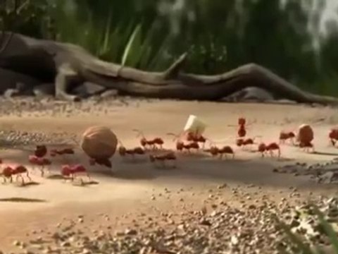 Highlife properties Funny Motivational Video TEAM Together Everyone Achieves More