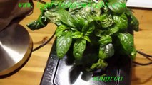 hydroponic led grow lights with wholesale price