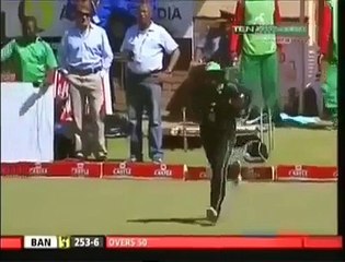 OMG very Dangerous Cricket moment