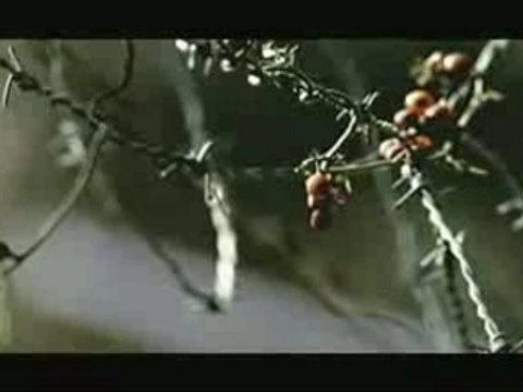 Lil Scrappy - Oh Yeah