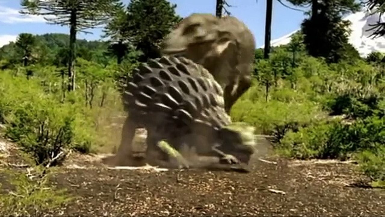 El renacer de la vida - Naturaleza