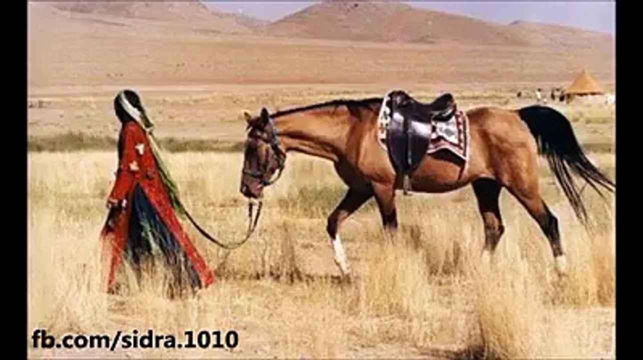 asim tanhai tanhai11