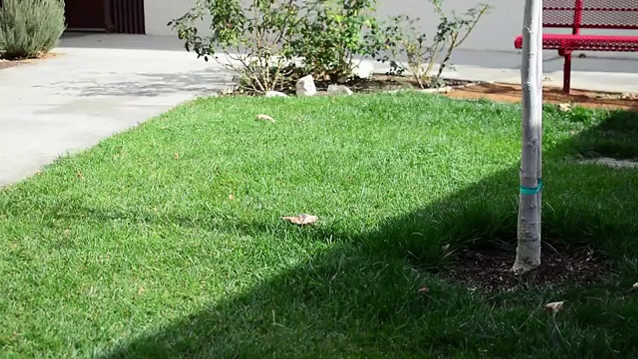 Lumsing Outdoor Sport Design Waterproof Wireless Bluetooth Speaker with Coupon Code C46EH7CJ Save $3 on Amazon