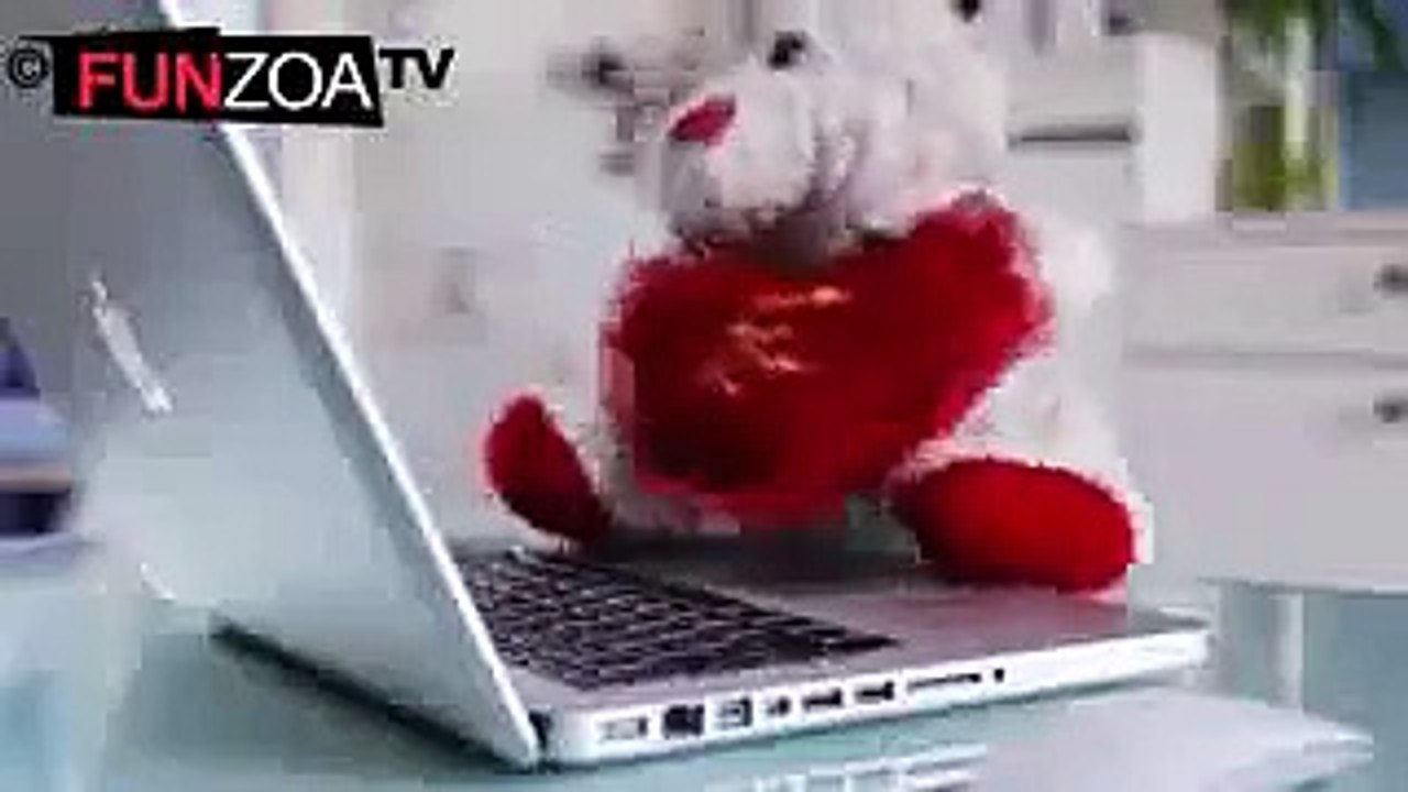 sweet Tadibear song