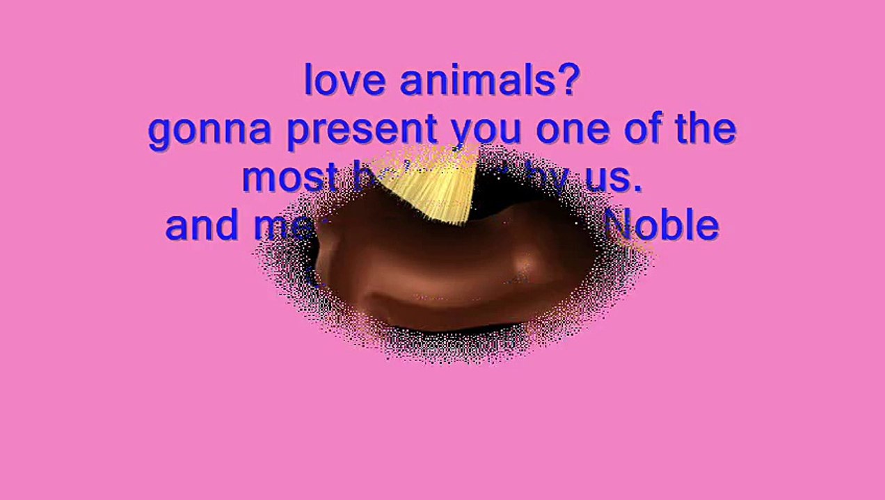 Horse Lovers