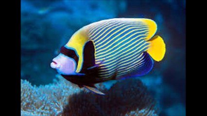 스포츠배팅사이트 ＨＡ７ＢＡ．ＣＯＭ 토토유료픽