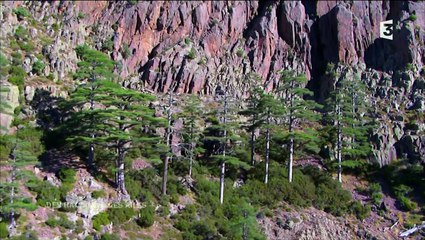 Des racines et des ailes La Corse (28 01 2015)