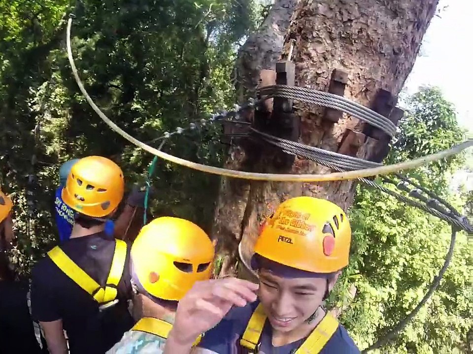 Flight of the Gibbon