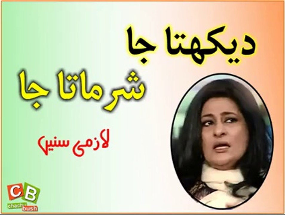 دیکھتا جا، شرماتا جا