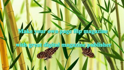 Make your own page flip magazine with great digital magazine publisher