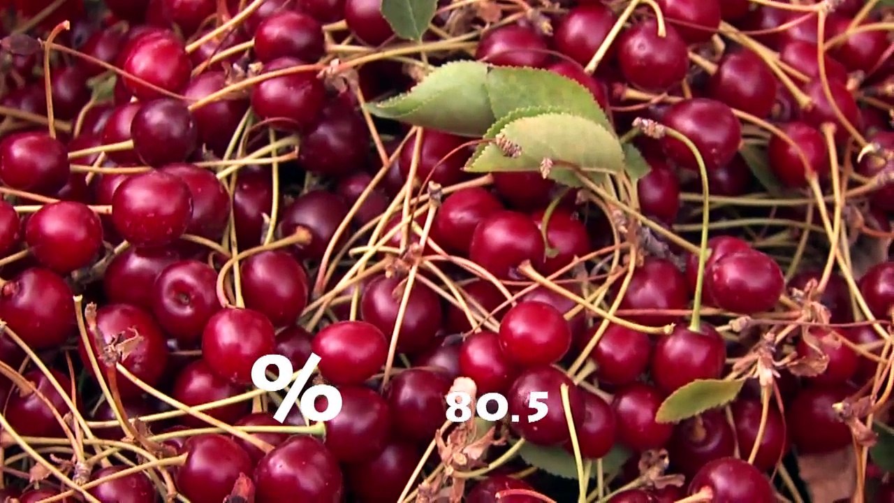 Ankara Ticaret Borsası Tanıtım filmi