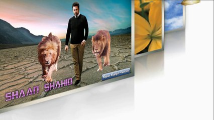 Shaan Shahid HD Wallpapers