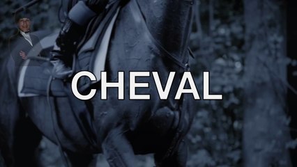 Ruitershop Cheval de Vie | Paardenspullen van bekende merken