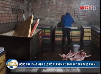 Rùng mình thịt heo bệnh tại lò mổ lậu