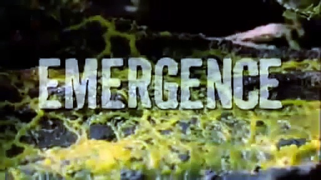 NOVA SCIENCE NOW - EMERGENCE - Discovery/Animals/Nature (documentary)