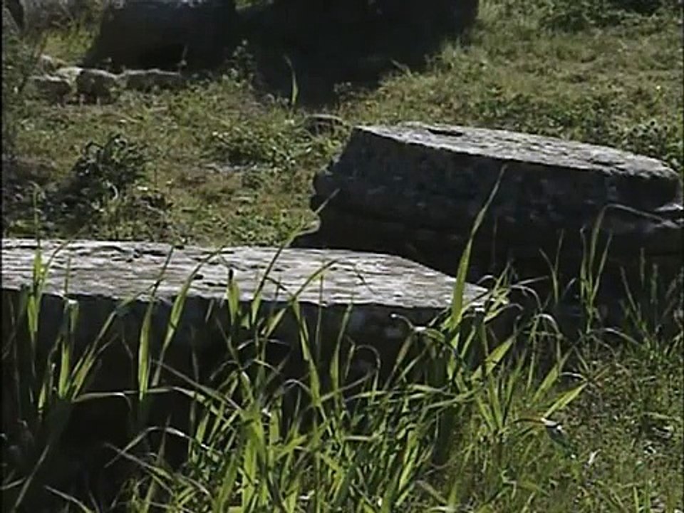 Espartanos y  Macedonios-Historia