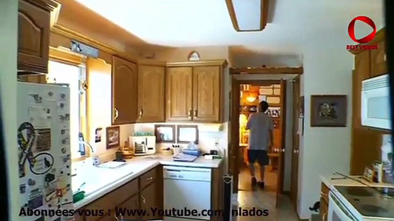 Le paradis pour chats existe