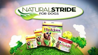Natural Stride for Dogs
