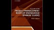 A Guide to the Project Management Body of Knowledge: PMBOK(R) Guide Project Management Institute
