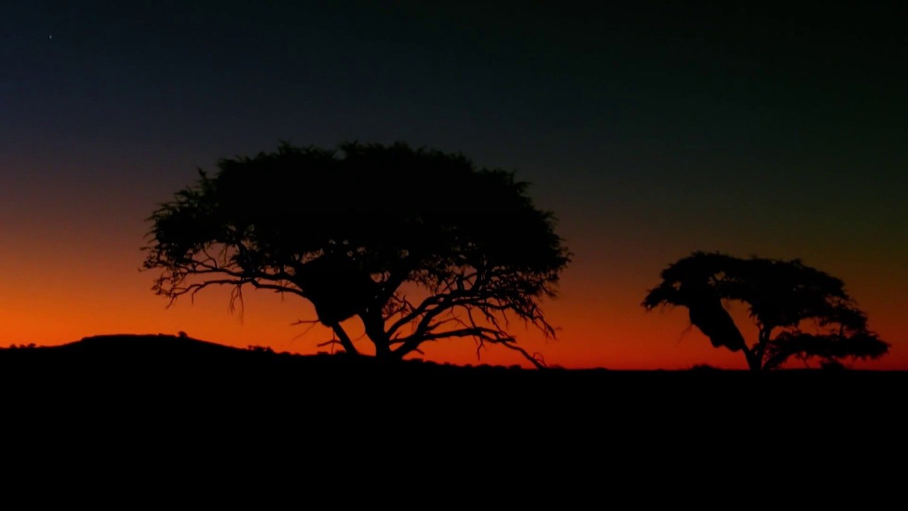 Auf der Spur des Löwen - Trailer (Deutsch) HD