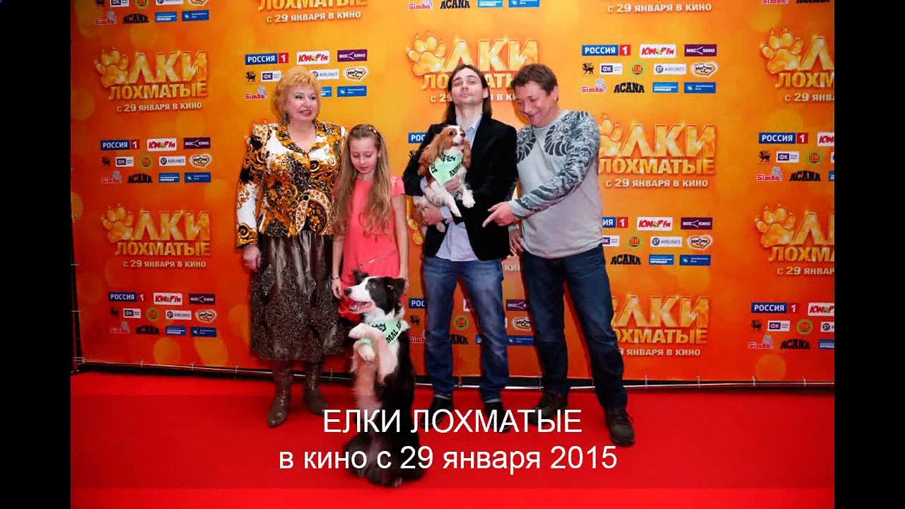 елки лохматые 2015