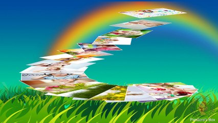 Zmeika - Стиль и проект для ProshowProducer