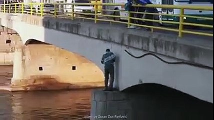 Köprünün ayağındaki köpeği kurtarma mücadelesi ve kurtarılan köpeğin sevgi gösterisi