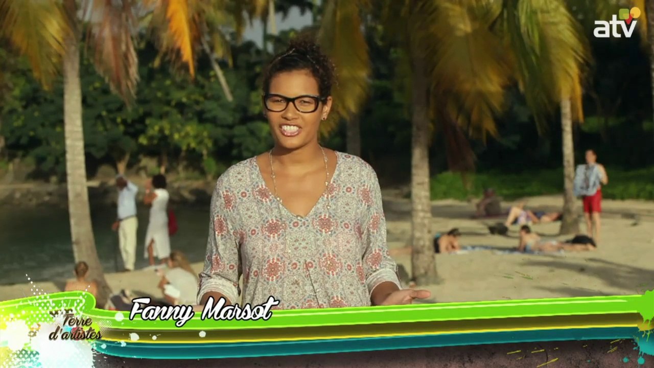 TERRE D ARTISTES N20 TOM & DOM du 29 01 2015 OK