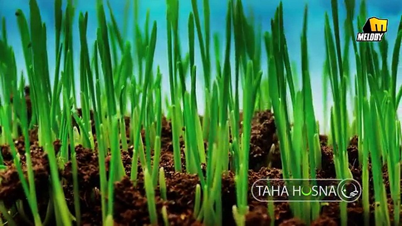 Taha Hosna - Ya Rab (Arabic Version)   طة حسنا - يارب (النسخة العربية)
