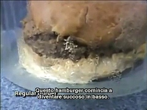 Segreti e orrori del McDonald’s: gli effetti del Big Mac sul tuo corpo