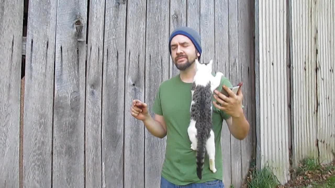 Determined cat climbs up owner