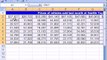 ---Excel Basics #6- Names Cell Ranges and Functions
